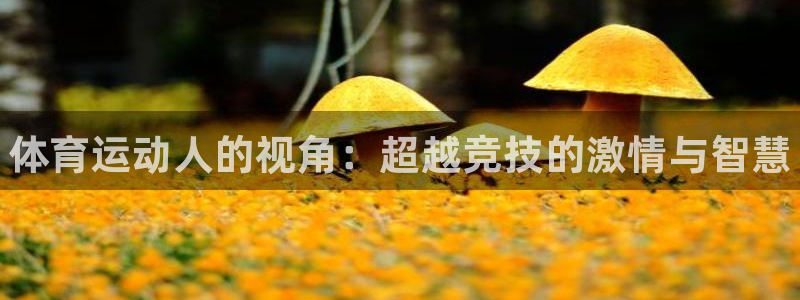 米兰体育官方正版app集团官网首页网址:体育运动人的视角:超