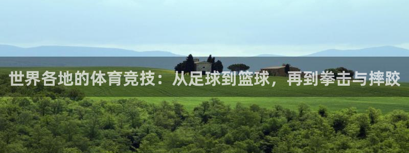 米兰体育官方正版app神州:世界各地的体育竞技:从足球到篮球