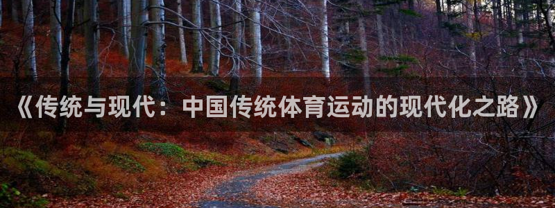 米兰体育官方正版app娱乐40996:《传统与现代:中国传统