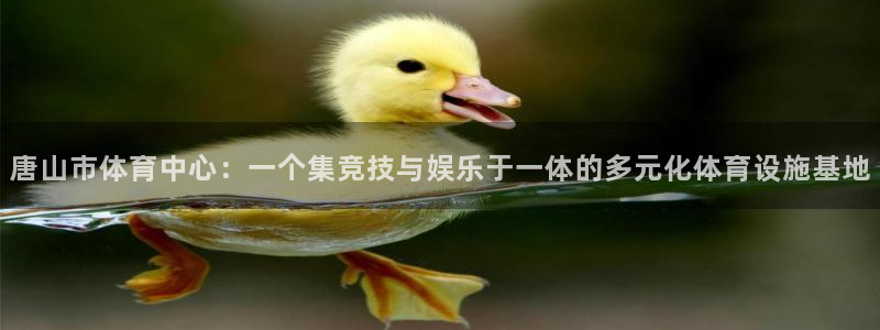 米兰体育官方正版app娱乐40996:唐山市体育中心:一个集