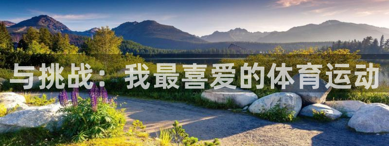 米兰体育官方正版app新能源:与挑战:我最喜爱的体育运动